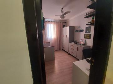 Alugar Apartamento / Padr&atilde;o em S&atilde;o Jos&eacute; do Rio Preto R$ 800,00 - Foto 9