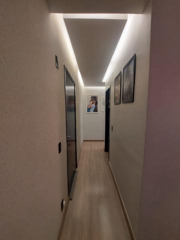 Alugar Apartamento / Padr&atilde;o em S&atilde;o Jos&eacute; do Rio Preto R$ 800,00 - Foto 14
