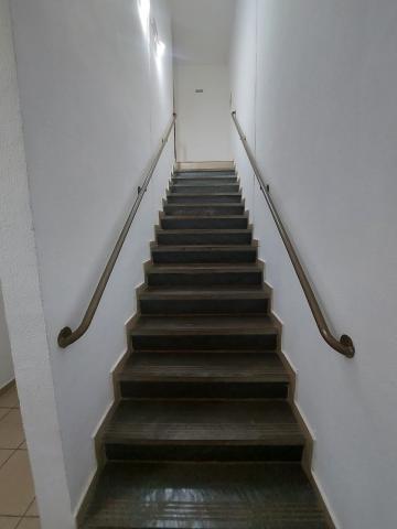 Alugar Apartamento / Padr&atilde;o em S&atilde;o Jos&eacute; do Rio Preto R$ 800,00 - Foto 16