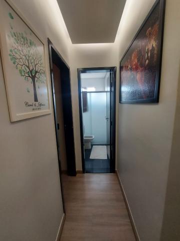 Alugar Apartamento / Padr&atilde;o em S&atilde;o Jos&eacute; do Rio Preto R$ 800,00 - Foto 15