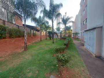 Alugar Apartamento / Padr&atilde;o em S&atilde;o Jos&eacute; do Rio Preto R$ 800,00 - Foto 18