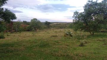 Rural / S&iacute;tio em S&atilde;o Jos&eacute; do Rio Preto 