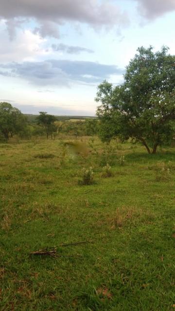 Comprar Rural / S&iacute;tio em S&atilde;o Jos&eacute; do Rio Preto R$ 1.300.000,00 - Foto 3
