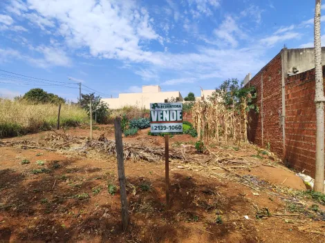 Comprar Terreno / Padr&atilde;o em Bady Bassitt R$ 120.000,00 - Foto 3