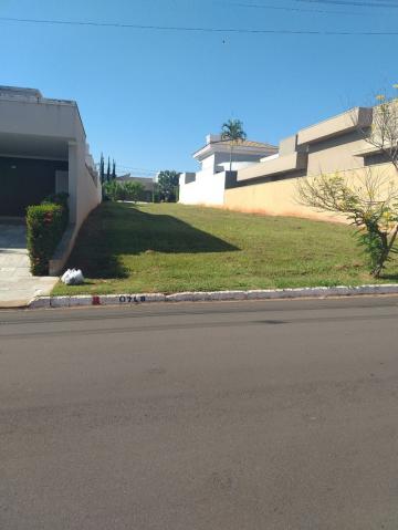 Comprar Terreno / Condom&iacute;nio em S&atilde;o Jos&eacute; do Rio Preto R$ 450.000,00 - Foto 4