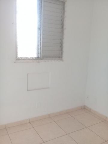 Alugar Apartamento / Padr&atilde;o em S&atilde;o Jos&eacute; do Rio Preto R$ 850,00 - Foto 4