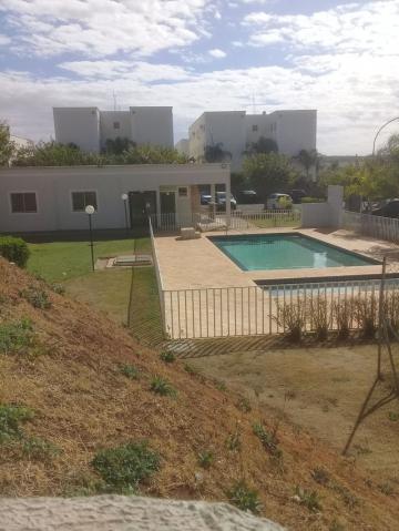 Alugar Apartamento / Padr&atilde;o em S&atilde;o Jos&eacute; do Rio Preto R$ 850,00 - Foto 5