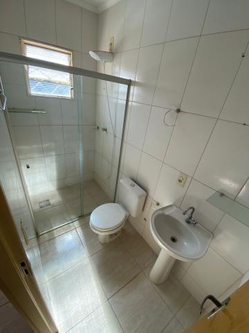 Alugar Apartamento / Padr&atilde;o em S&atilde;o Jos&eacute; do Rio Preto R$ 1.000,00 - Foto 3