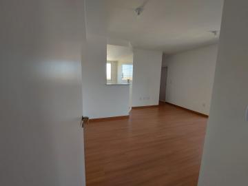 Alugar Apartamento / Padr&atilde;o em S&atilde;o Jos&eacute; do Rio Preto R$ 1.000,00 - Foto 4