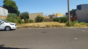 Terreno / Padr&atilde;o em Bady Bassitt 