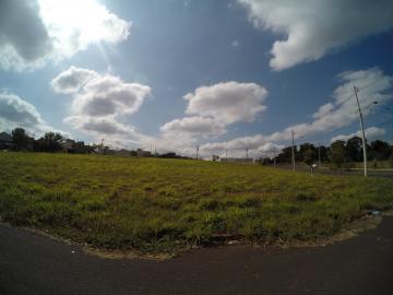 Terreno / Padr&atilde;o em S&atilde;o Jos&eacute; do Rio Preto 