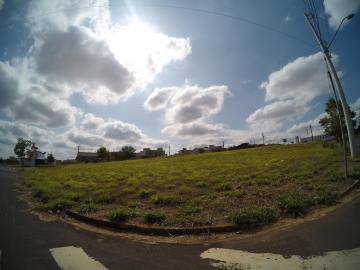 Comprar Terreno / Padr&atilde;o em S&atilde;o Jos&eacute; do Rio Preto R$ 1.600.000,00 - Foto 2