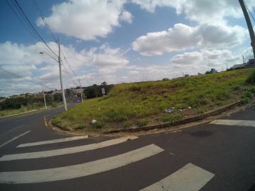 Terreno / Padr&atilde;o em S&atilde;o Jos&eacute; do Rio Preto 