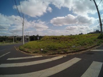 Comprar Terreno / Padr&atilde;o em S&atilde;o Jos&eacute; do Rio Preto R$ 930.000,00 - Foto 2