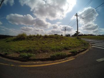 Comprar Terreno / Padr&atilde;o em S&atilde;o Jos&eacute; do Rio Preto R$ 930.000,00 - Foto 3