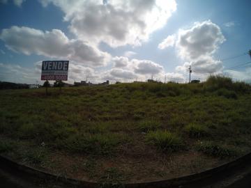 Terreno / Padr&atilde;o em S&atilde;o Jos&eacute; do Rio Preto 