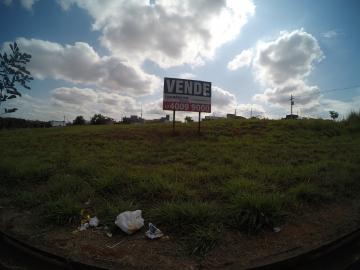 Alugar Terreno / Padr&atilde;o em S&atilde;o Jos&eacute; do Rio Preto. apenas R$ 900.000,00