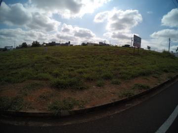 Terreno / Padr&atilde;o em S&atilde;o Jos&eacute; do Rio Preto 