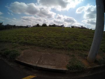 Comprar Terreno / Padr&atilde;o em S&atilde;o Jos&eacute; do Rio Preto R$ 910.000,00 - Foto 2