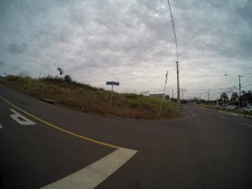 Comprar Terreno / Padr&atilde;o em S&atilde;o Jos&eacute; do Rio Preto - Foto 5
