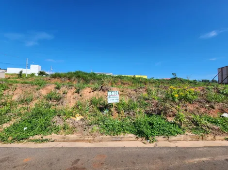 Comprar Terreno / Padr&atilde;o em S&atilde;o Jos&eacute; do Rio Preto - Foto 3