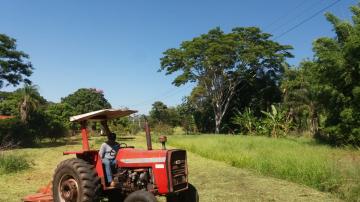 Comprar Rural / Ch&aacute;cara em Mirassol R$ 750.000,00 - Foto 6