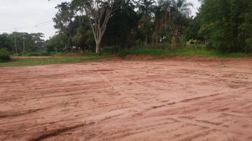 Comprar Rural / Ch&aacute;cara em Mirassol R$ 750.000,00 - Foto 8