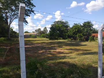 Comprar Rural / Ch&aacute;cara em Mirassol R$ 750.000,00 - Foto 11