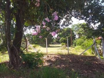 Comprar Rural / Ch&aacute;cara em Mirassol R$ 750.000,00 - Foto 12