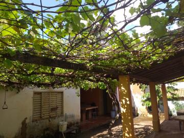 Comprar Rural / Ch&aacute;cara em Mirassol R$ 750.000,00 - Foto 10