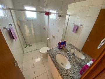 Alugar Apartamento / Padr&atilde;o em S&atilde;o Jos&eacute; do Rio Preto R$ 1.200,00 - Foto 9