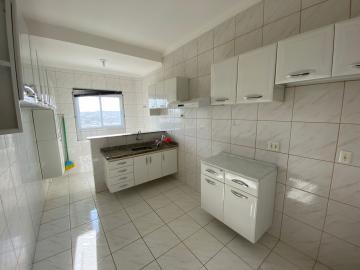 Alugar Apartamento / Padr&atilde;o em S&atilde;o Jos&eacute; do Rio Preto R$ 1.200,00 - Foto 5