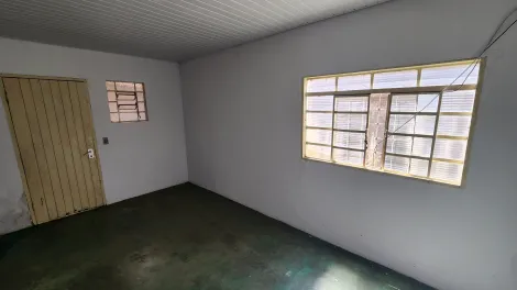 Alugar Casa / Padr&atilde;o em S&atilde;o Jos&eacute; do Rio Preto R$ 500,00 - Foto 13