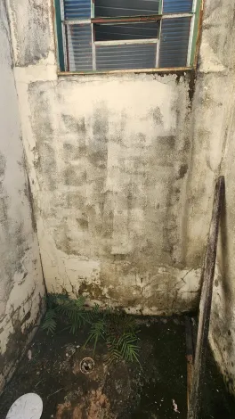 Alugar Casa / Padr&atilde;o em S&atilde;o Jos&eacute; do Rio Preto R$ 500,00 - Foto 18