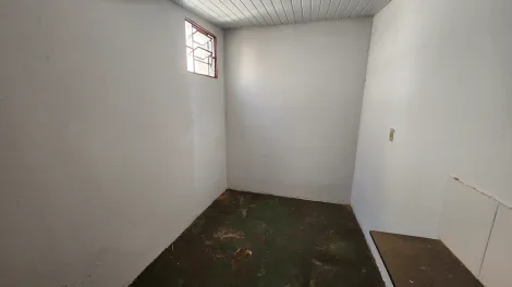 Alugar Casa / Padr&atilde;o em S&atilde;o Jos&eacute; do Rio Preto R$ 500,00 - Foto 17