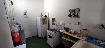 Alugar Casa / Padr&atilde;o em S&atilde;o Jos&eacute; do Rio Preto R$ 500,00 - Foto 12