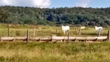 Rural / Fazenda em Caiap&ocirc;nia 