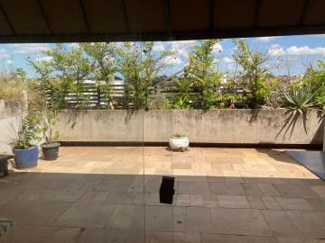 Alugar Apartamento / Cobertura em S&atilde;o Jos&eacute; do Rio Preto. apenas R$ 4.000,00