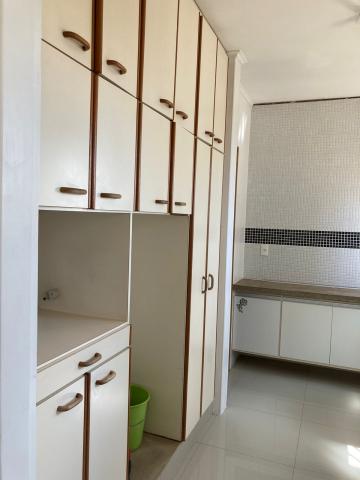 Alugar Apartamento / Cobertura em S&atilde;o Jos&eacute; do Rio Preto R$ 4.000,00 - Foto 6