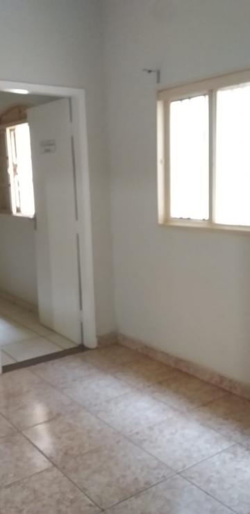 Alugar Casa / Padr&atilde;o em S&atilde;o Jos&eacute; do Rio Preto R$ 3.000,00 - Foto 19