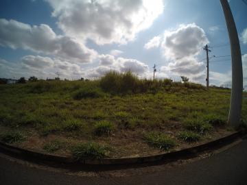 Alugar Terreno / Padr&atilde;o em S&atilde;o Jos&eacute; do Rio Preto. apenas R$ 900.000,00