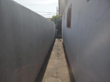 Alugar Casa / Padr&atilde;o em S&atilde;o Jos&eacute; do Rio Preto R$ 800,00 - Foto 10