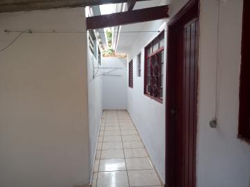 Alugar Casa / Padr&atilde;o em S&atilde;o Jos&eacute; do Rio Preto. apenas R$ 800,00