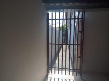 Alugar Casa / Padr&atilde;o em S&atilde;o Jos&eacute; do Rio Preto R$ 800,00 - Foto 9