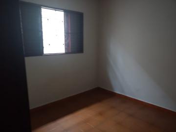 Alugar Casa / Padr&atilde;o em S&atilde;o Jos&eacute; do Rio Preto R$ 800,00 - Foto 5