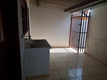 Alugar Casa / Padr&atilde;o em S&atilde;o Jos&eacute; do Rio Preto R$ 800,00 - Foto 4