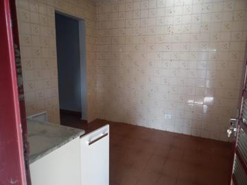Alugar Casa / Padr&atilde;o em S&atilde;o Jos&eacute; do Rio Preto R$ 800,00 - Foto 8