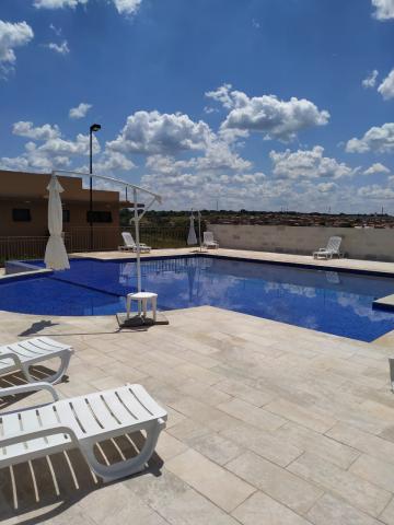 Comprar Casa / Condom&iacute;nio em S&atilde;o Jos&eacute; do Rio Preto R$ 590.000,00 - Foto 14