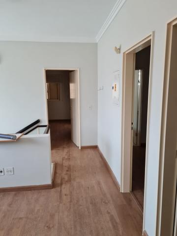 Alugar Comercial / Casa Comercial em S&atilde;o Jos&eacute; do Rio Preto R$ 5.500,00 - Foto 5