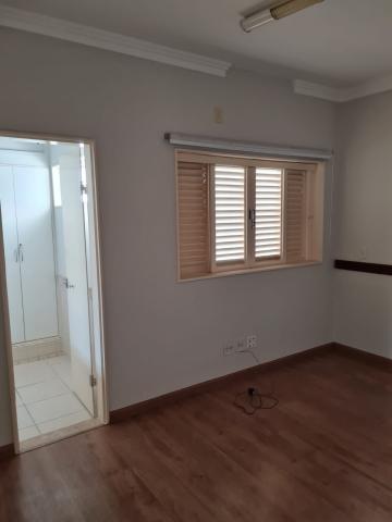 Alugar Comercial / Casa Comercial em S&atilde;o Jos&eacute; do Rio Preto R$ 5.500,00 - Foto 9